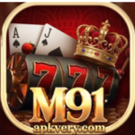 M91 Game