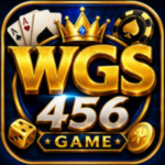 WSG456 game